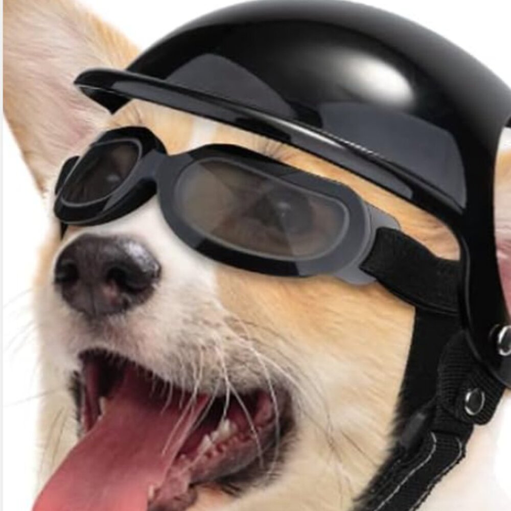 NWOT SlowTon Size Small Dog Helmet and Goggles Bundle and save 30% off